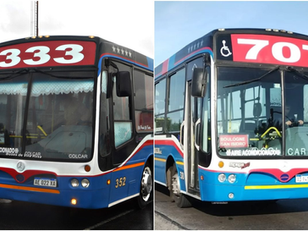 Por el modelo libertario, suspenden servicios de colectivos