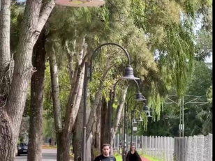San Fernando hace culto de la cultura del reencuentro  