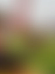 Paseo de la Costa durante el feriado