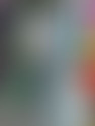 Importantes descuentos con tarjeta “Soy Tigre”