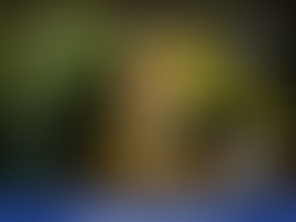 El amor siempre está: "de Italia a España por Olivos"