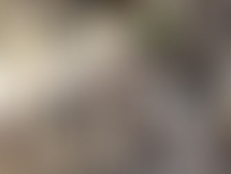 El Consejo de Sociólogos de la Provincia repudia el ajuste Milei