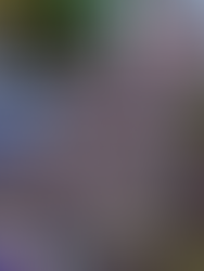 Nuevo ataque del gobierno a universidades nacionales