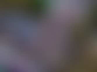 Nuevo ataque del gobierno a universidades nacionales