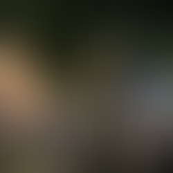 San Isidro con agenda navideña