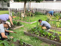 Don Torcuato: Taller de Huerta Comunitaria
