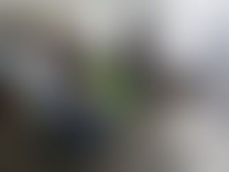 Vacunación y castración gratuita en los barrios