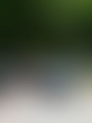 ARBA baja la patente para el 75% de los vehículos