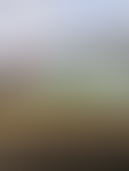 Tigre: números que impactan positivamente en el vecino