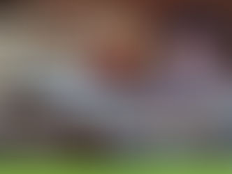 Nueva edición de la Fiesta del Litoral