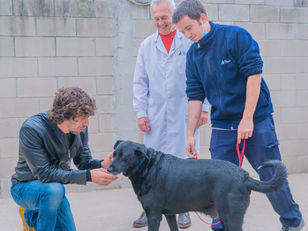 Andreotti hace campaña por una adopción responsable de mascota