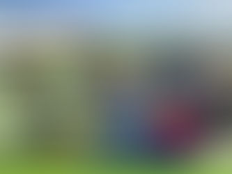 Espectáculos y actividades para el fin de semana