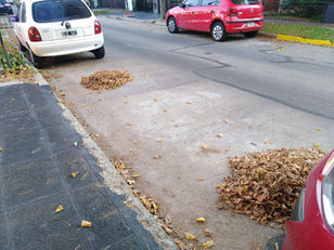 Vecinos de Olivos dicen que "el barrendero brilla por su ausencia"