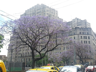 Universidades Nacionales: el Colegio de Nutricionistas se suma a la defensa