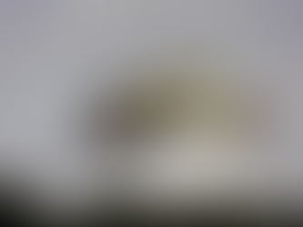 Charla abierta en el Museo Municipal de Vicente López