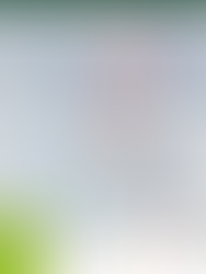 Tránsito en San Isidro: cortes y desvíos en el Bajo de Béccar