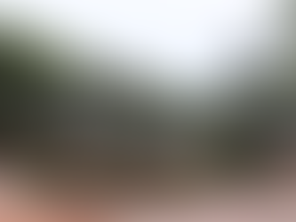 Reabrió la histórica Plaza Mitre