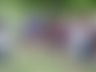 San Martín no escatima esfuerzos para garantizar inclusión e igualdad de oportunidades