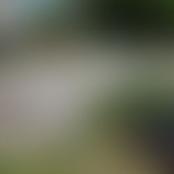 San Martín, todo por amor: de la destrucción libertaria a la reconstrucción peronista