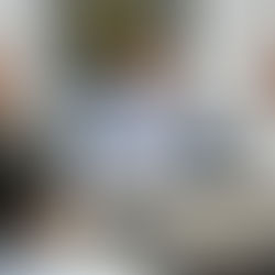 Katopodis arma futuro con intendentes