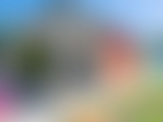 Andreotti, con criquet en mano, levanta lo que Juntos dejó caer: la educación