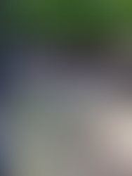 Tigre: talleres de alimentación saludable para adultos mayores