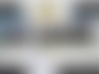 Julio Zamora: "el Tigre que queremos lo construimos, también, con los Rotarios"