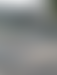 Olivos: vecinos activan la alarma por construcción de torre