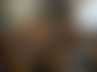 Tigre:nuevos funcionarios y partida de concejales