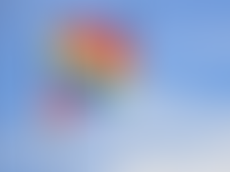 CENSO: Tigre se sumó a la campaña “Soy de Raíces Indígenas”