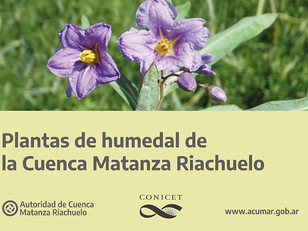 Guía de plantas de humedales de la Cuenca Matanza Riachuelo