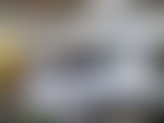 Fernández, sacando escombros del pasado, asistió al lanzamiento del Peugeot 208