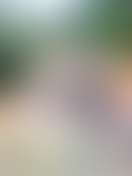 El gobierno de Tigre intensifica obras de infraestructura en el Delta