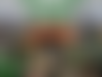 Milei lo hizo: paro nacional de ATE