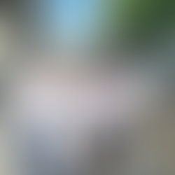 Diputados de izquierda asumieron diciendo “no a la reforma laboral esclavista” y a favor de Palestina