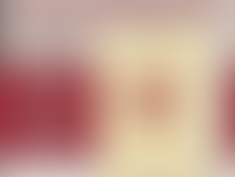 Atrapante mirada sobre la historia de Vicente López