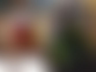 Tigre:la inclusión no es un relato amarillo