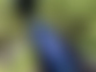 San Martín creó novedosa Web con toda la información sobre COVID 19