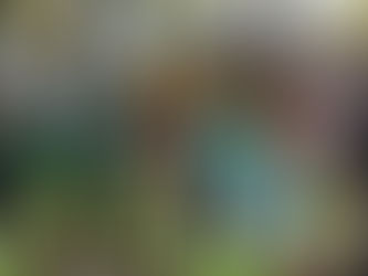 “Maratón de Limpieza” en la costa de Vicente López