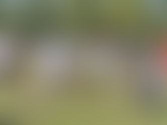 Taller Municipal de Adiestramiento de perros