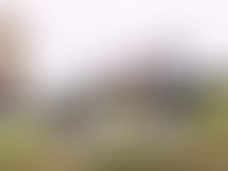 En el Día Mundial de la Tierra, una familia de carpinchos se instaló en la estación Tigre