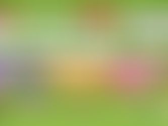 Festival por el “Mes de las Infancias”