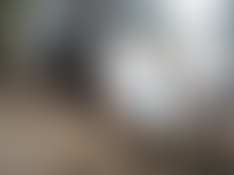 Reclamo de la comunidad educativa: "salvemos a la Escuela EEA1 de Olivos"