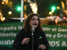 La legisladora Vanina Biasi se refirió a la baja tasa de natalidad que registra el país
