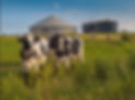 anaerobic digestion.jpg