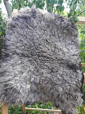 Heb-Rug-L7(a).jpg