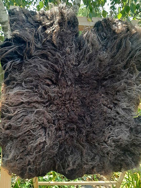 GHeb-Rug-26-(15).jpg