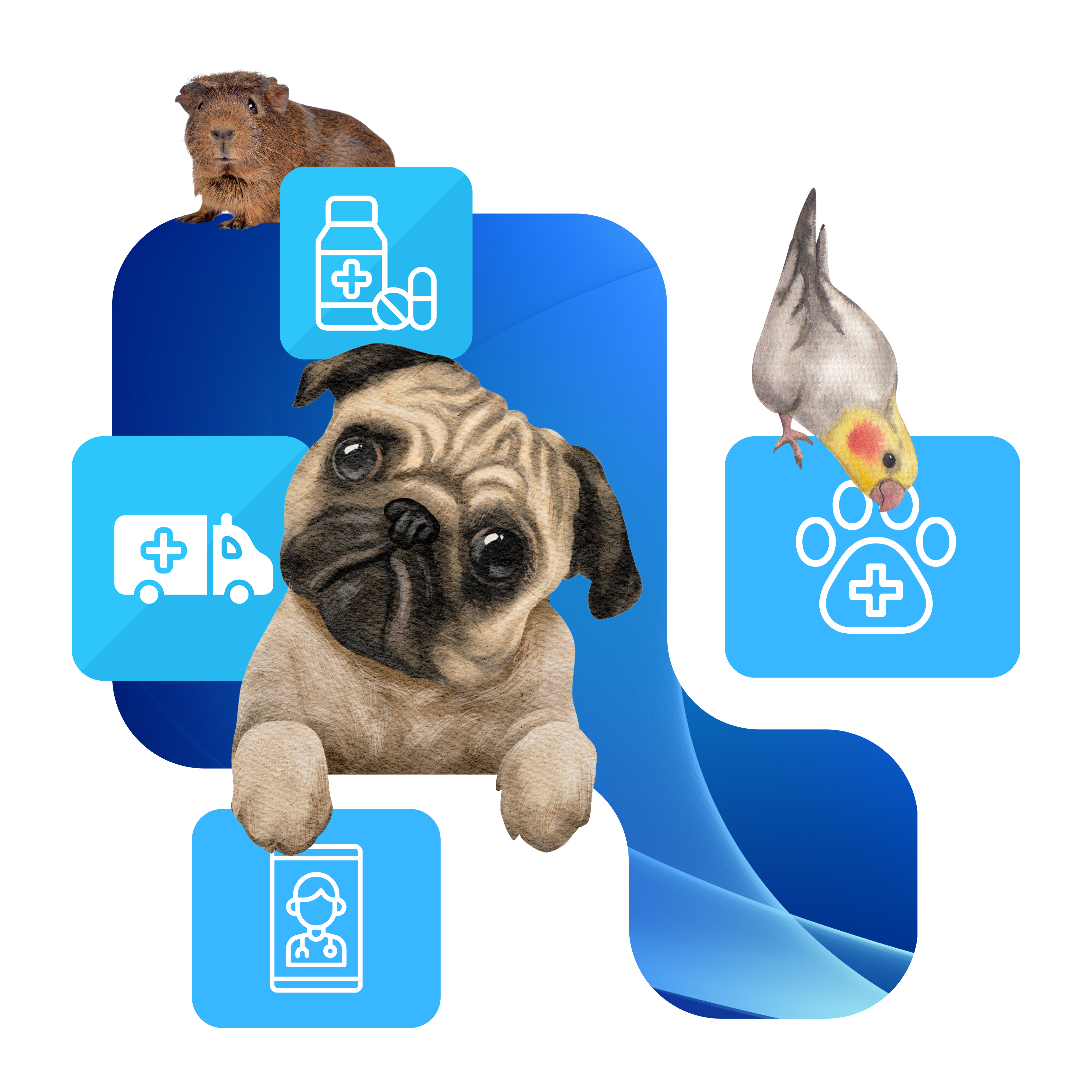 sama care site fundo transparente 4a.png