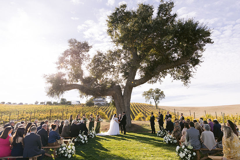 mooncrest_media-caitlin-greg-wedding-ellas_vineyard-1161.jpg