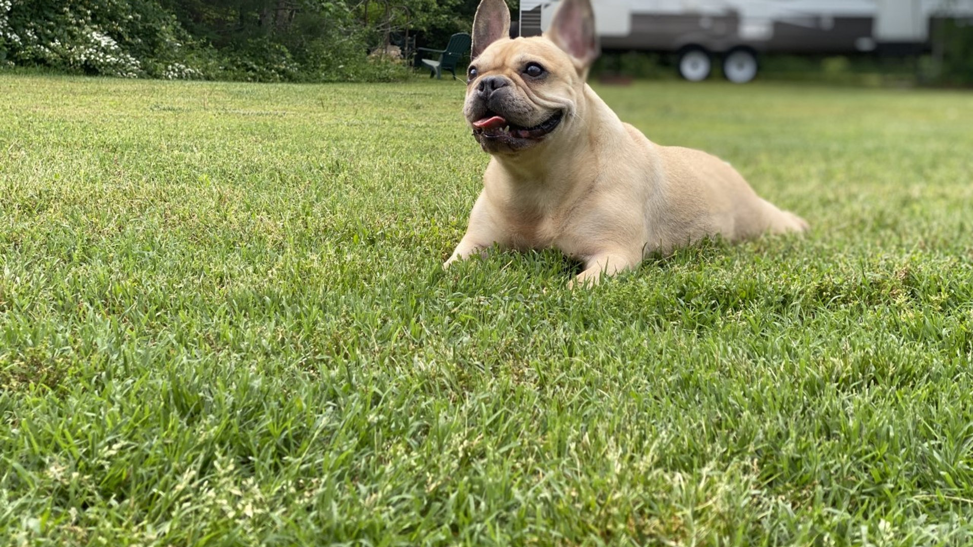 Rudy Jo